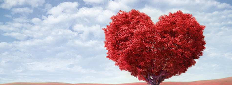 愛の象徴ハート型の木