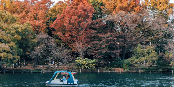 井の頭公園