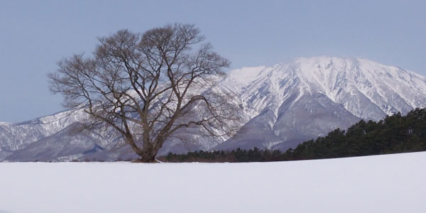 小岩井農場